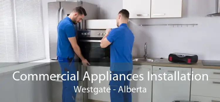 Commercial Appliances Installation Westgate - Alberta