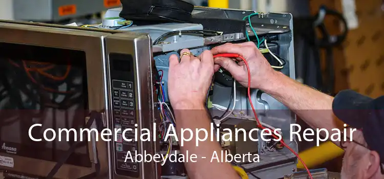 Commercial Appliances Repair Abbeydale - Alberta