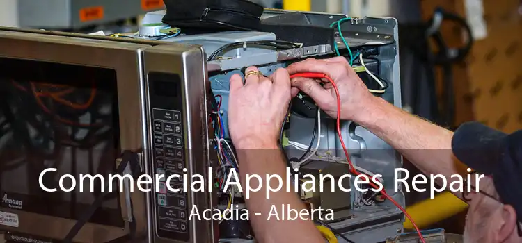 Commercial Appliances Repair Acadia - Alberta