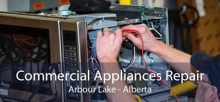 Commercial Appliances Repair Arbour Lake - Alberta