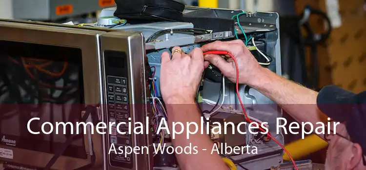 Commercial Appliances Repair Aspen Woods - Alberta