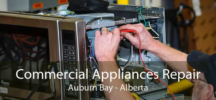 Commercial Appliances Repair Auburn Bay - Alberta
