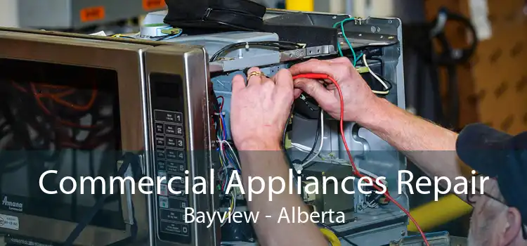 Commercial Appliances Repair Bayview - Alberta