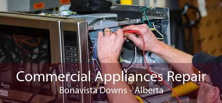 Commercial Appliances Repair Bonavista Downs - Alberta