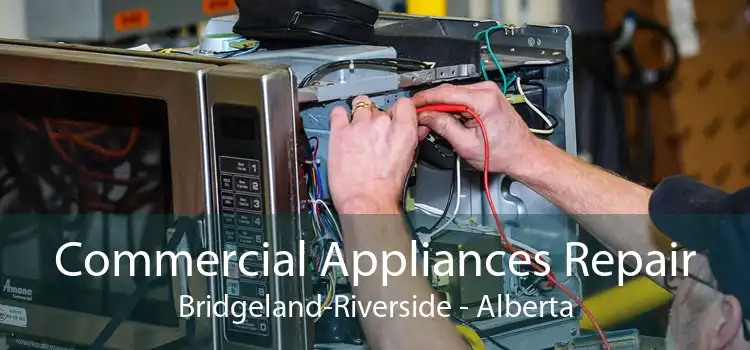Commercial Appliances Repair Bridgeland-Riverside - Alberta