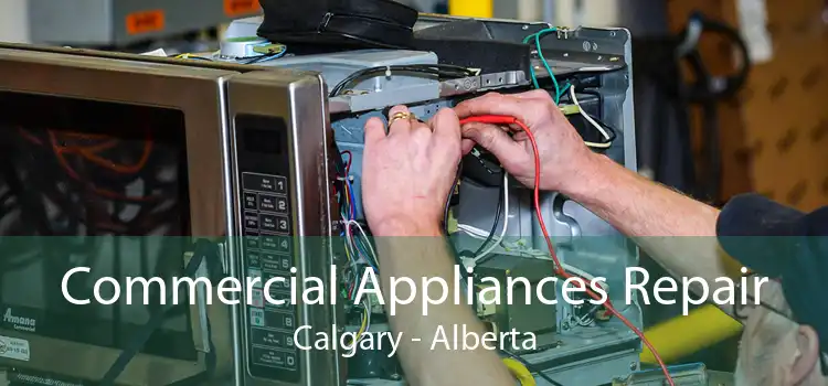 Commercial Appliances Repair Calgary - Alberta