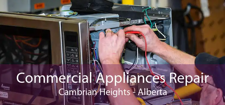 Commercial Appliances Repair Cambrian Heights - Alberta
