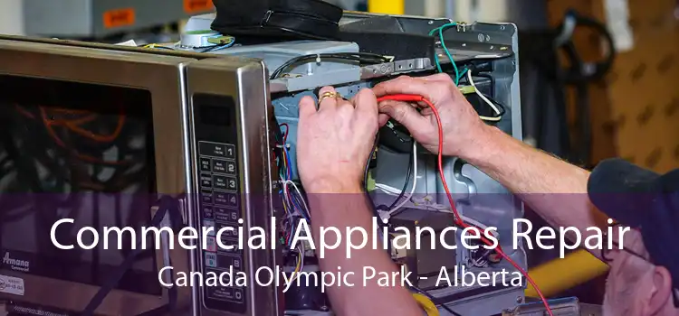 Commercial Appliances Repair Canada Olympic Park - Alberta