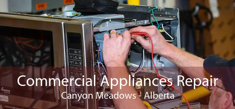 Commercial Appliances Repair Canyon Meadows - Alberta