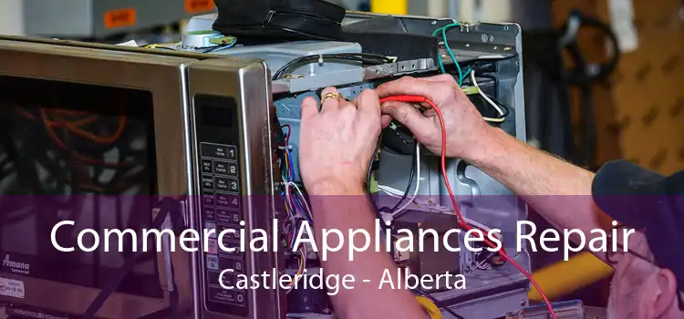 Commercial Appliances Repair Castleridge - Alberta