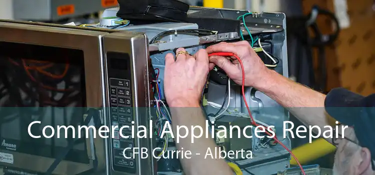 Commercial Appliances Repair CFB Currie - Alberta
