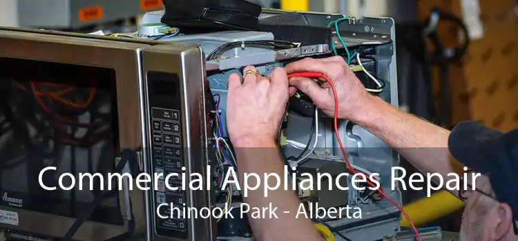 Commercial Appliances Repair Chinook Park - Alberta