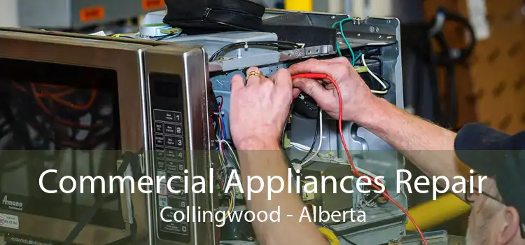 Commercial Appliances Repair Collingwood - Alberta