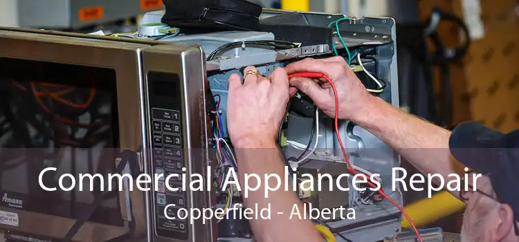 Commercial Appliances Repair Copperfield - Alberta