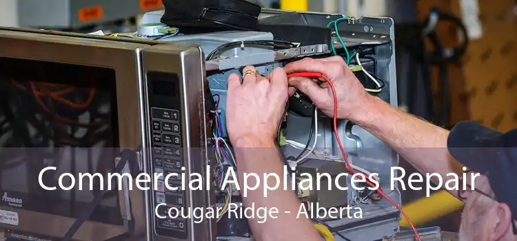 Commercial Appliances Repair Cougar Ridge - Alberta