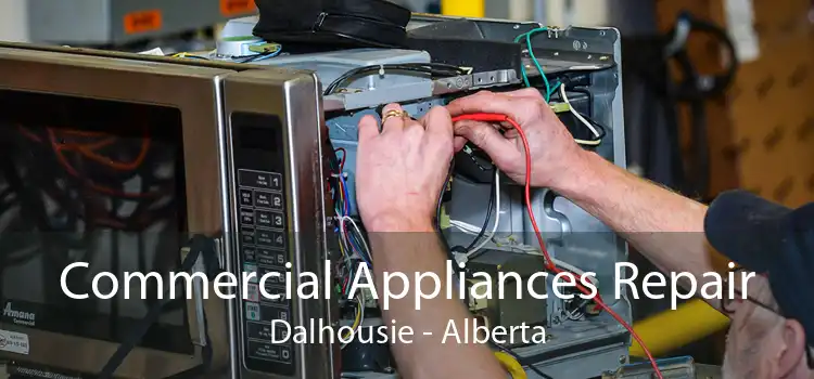 Commercial Appliances Repair Dalhousie - Alberta