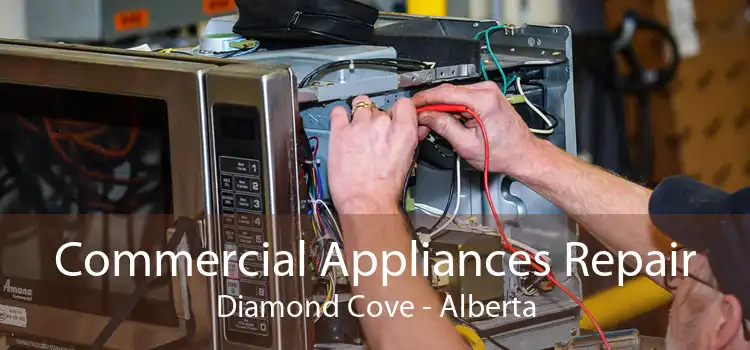 Commercial Appliances Repair Diamond Cove - Alberta