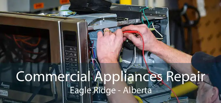 Commercial Appliances Repair Eagle Ridge - Alberta