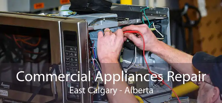 Commercial Appliances Repair East Calgary - Alberta