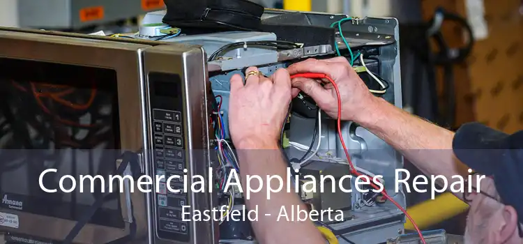 Commercial Appliances Repair Eastfield - Alberta