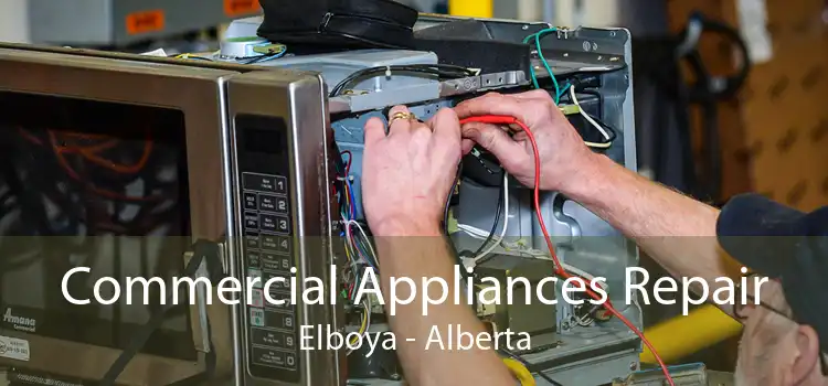 Commercial Appliances Repair Elboya - Alberta