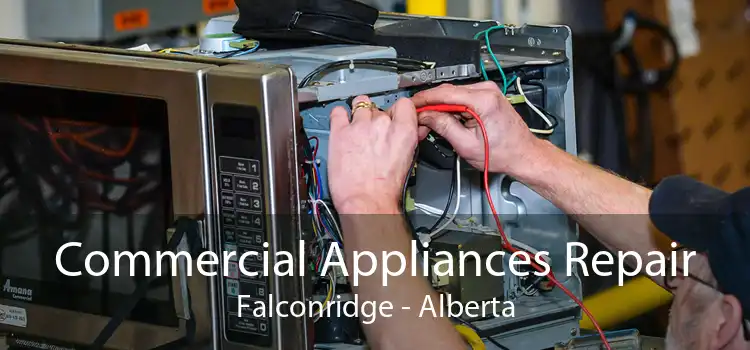 Commercial Appliances Repair Falconridge - Alberta
