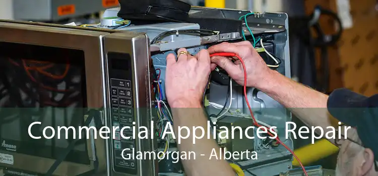 Commercial Appliances Repair Glamorgan - Alberta