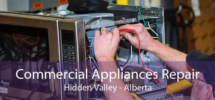 Commercial Appliances Repair Hidden Valley - Alberta