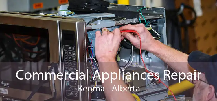 Commercial Appliances Repair Keoma - Alberta