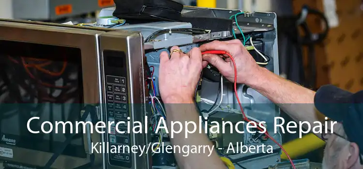 Commercial Appliances Repair Killarney/Glengarry - Alberta