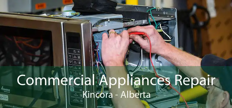 Commercial Appliances Repair Kincora - Alberta
