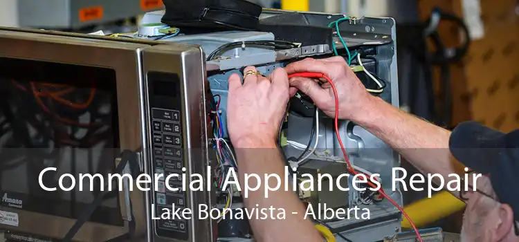 Commercial Appliances Repair Lake Bonavista - Alberta
