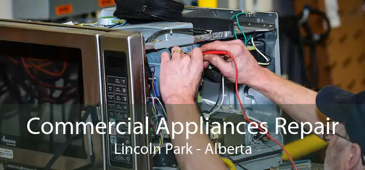 Commercial Appliances Repair Lincoln Park - Alberta