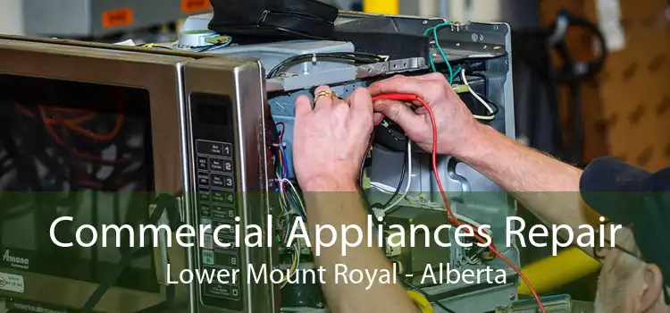 Commercial Appliances Repair Lower Mount Royal - Alberta