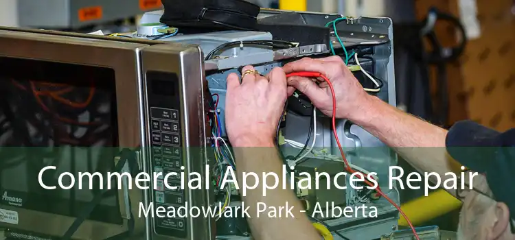 Commercial Appliances Repair Meadowlark Park - Alberta