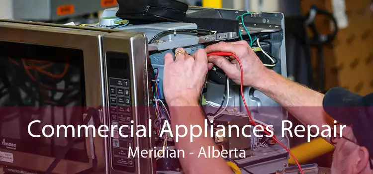 Commercial Appliances Repair Meridian - Alberta