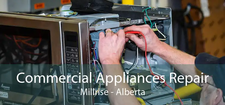 Commercial Appliances Repair Millrise - Alberta