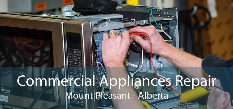 Commercial Appliances Repair Mount Pleasant - Alberta