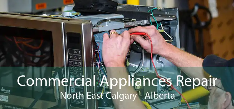 Commercial Appliances Repair North East Calgary - Alberta