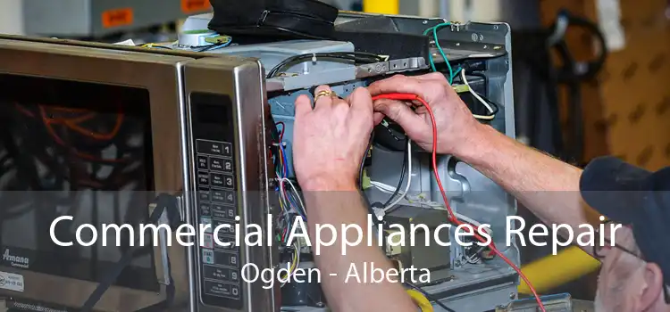 Commercial Appliances Repair Ogden - Alberta