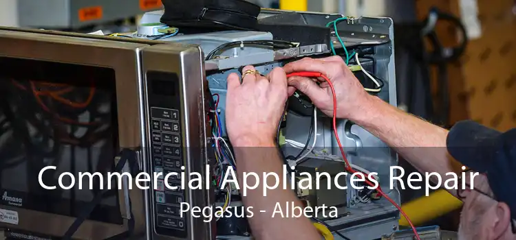 Commercial Appliances Repair Pegasus - Alberta