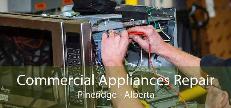 Commercial Appliances Repair Pineridge - Alberta