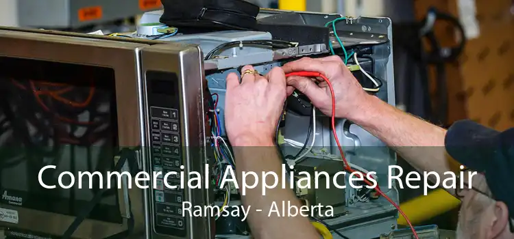 Commercial Appliances Repair Ramsay - Alberta