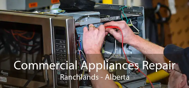 Commercial Appliances Repair Ranchlands - Alberta
