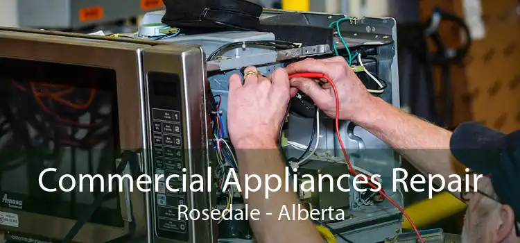 Commercial Appliances Repair Rosedale - Alberta