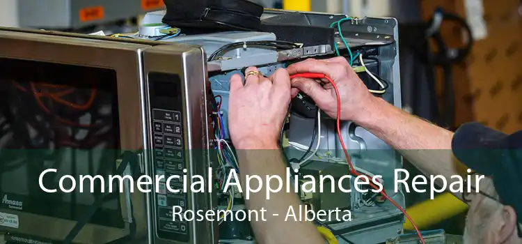 Commercial Appliances Repair Rosemont - Alberta