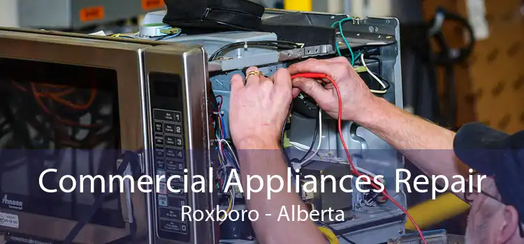 Commercial Appliances Repair Roxboro - Alberta