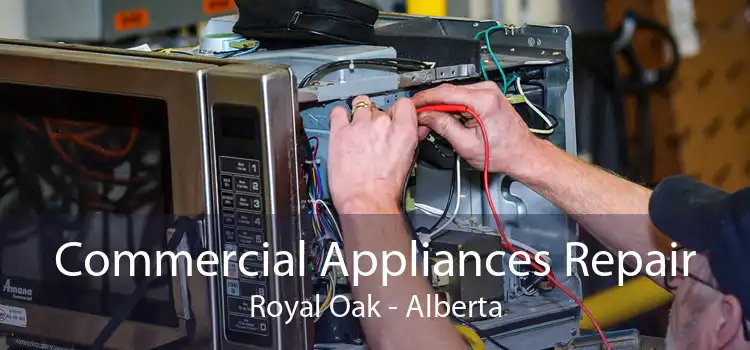 Commercial Appliances Repair Royal Oak - Alberta