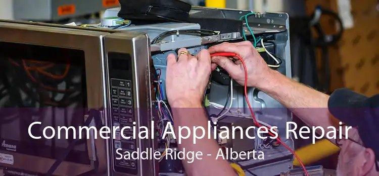 Commercial Appliances Repair Saddle Ridge - Alberta