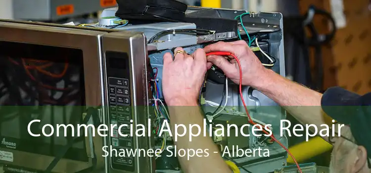 Commercial Appliances Repair Shawnee Slopes - Alberta
